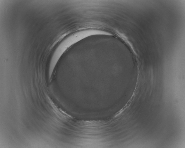 X0000078280154200611172105