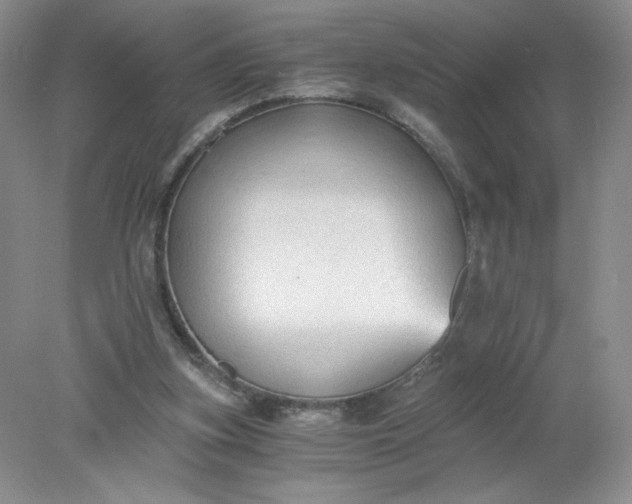 X0000078280155200611172105