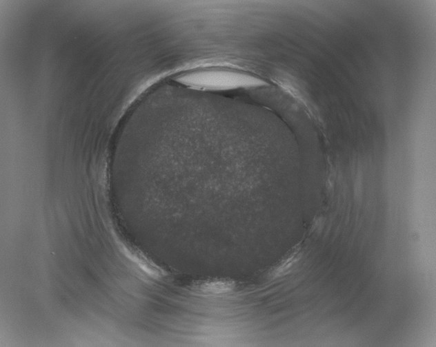 X0000078280156200611172105