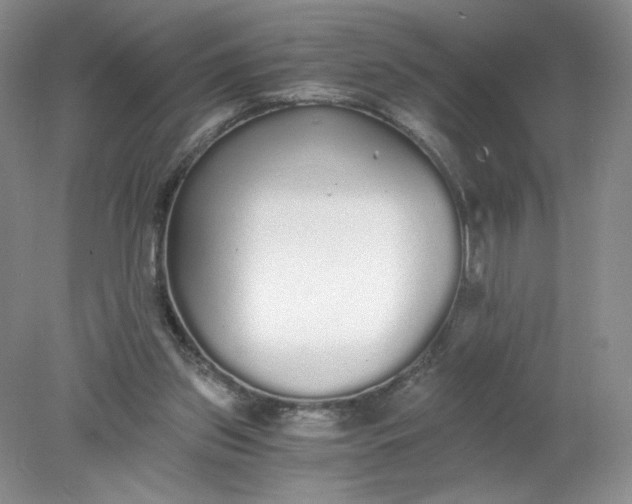 X0000078280157200611172105