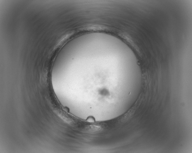 X0000078280159200611172105