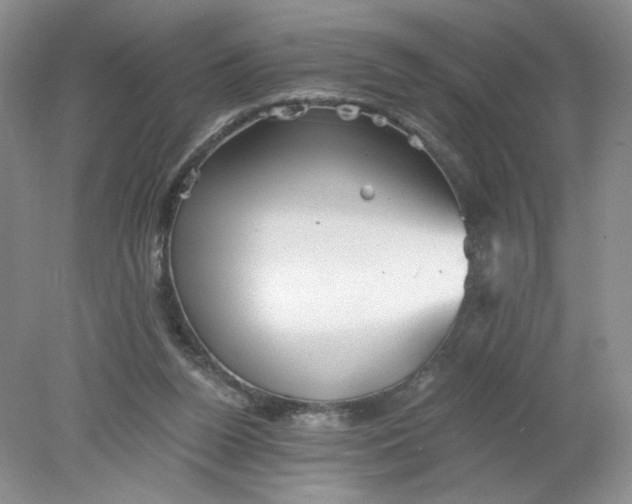 X0000078280160200611172105