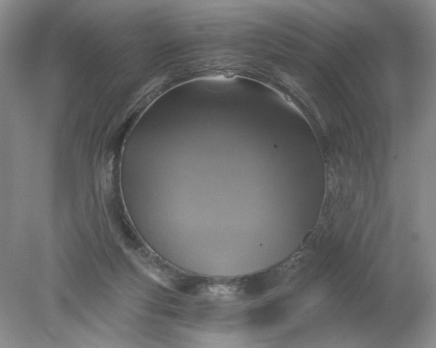 X0000078280163200611172105