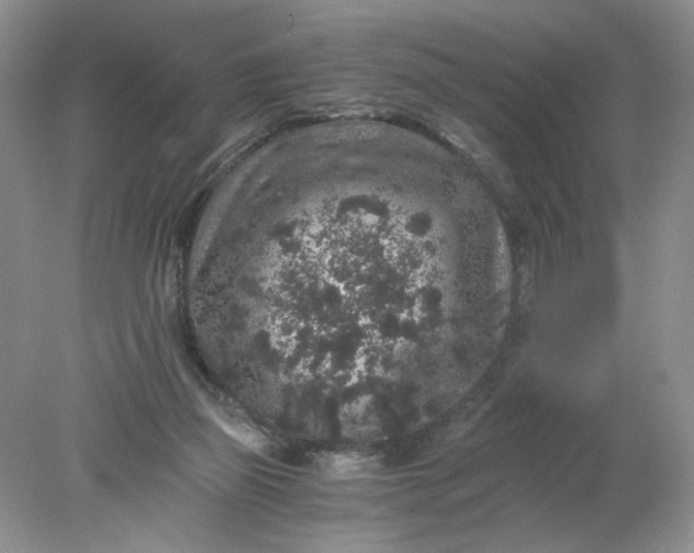 X0000078280165200611172105