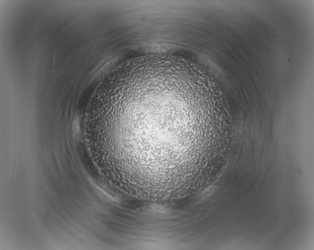 X0000078280166200611172105