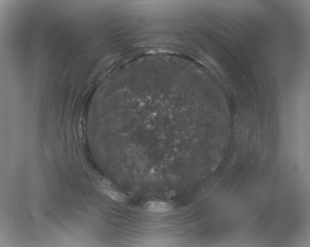 X0000078280169200611172105