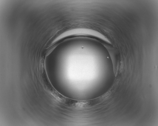 X0000078280172200611172106