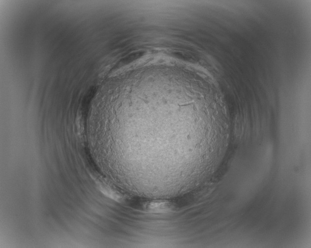 X0000078280173200611172106