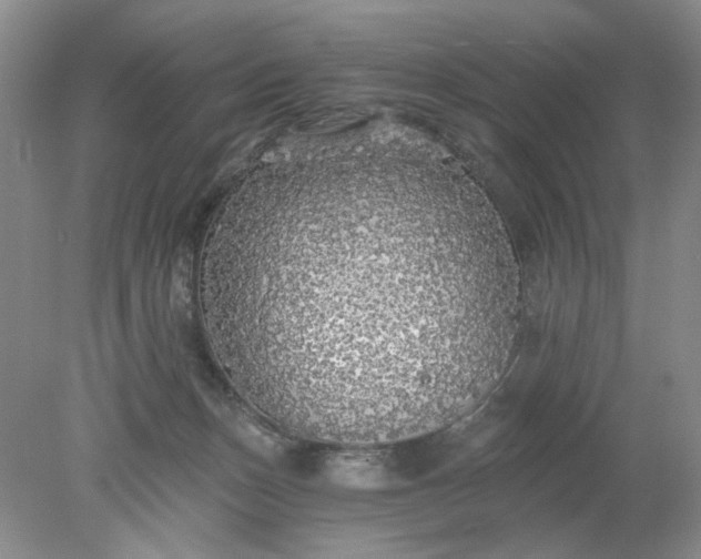 X0000078280175200611172106