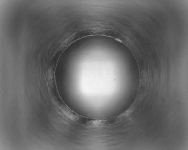 X0000078280184200611172106