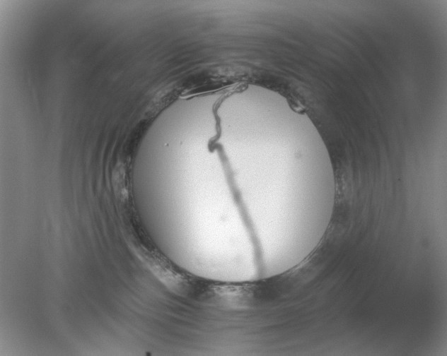 X0000078280187200611172106