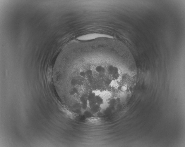 X0000078280189200611172106