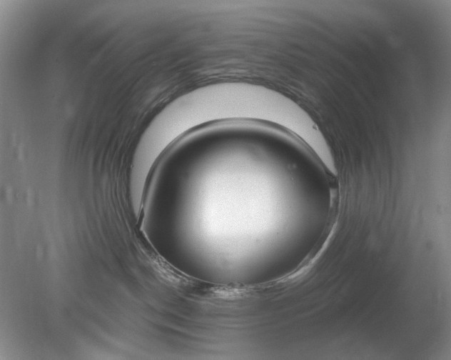 X0000078280190200611172106