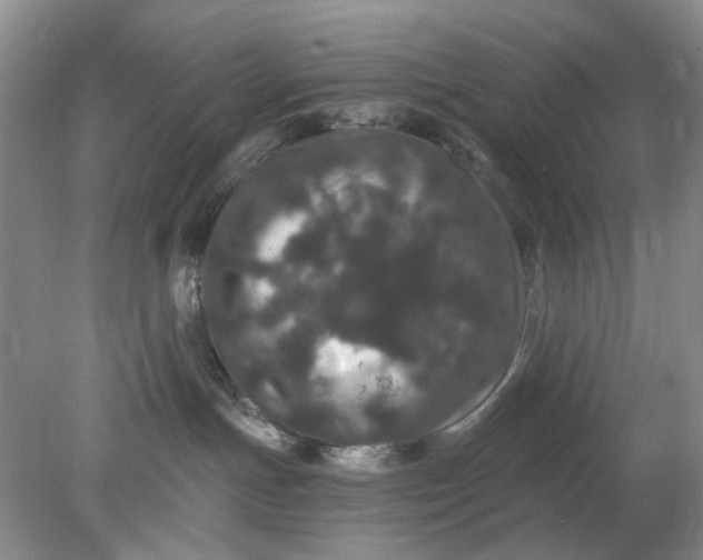 X0000078280191200611172106