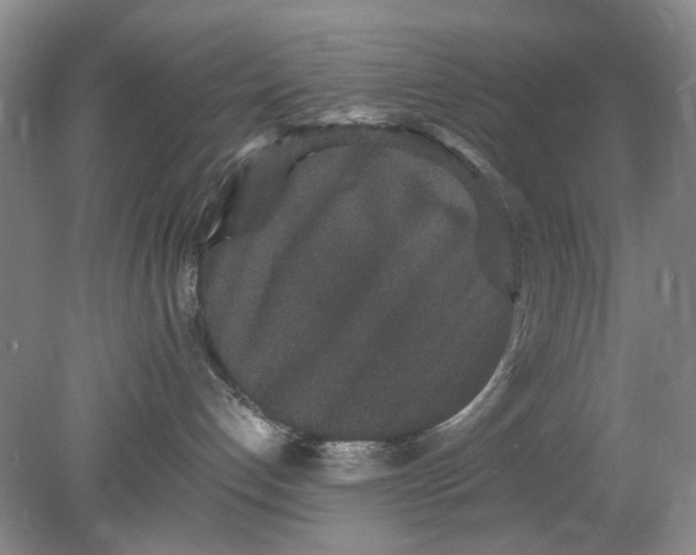 X0000078280192200611172106