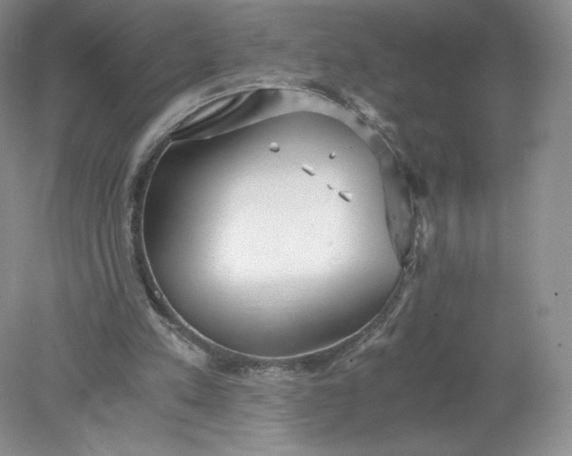 X0000078280197200611172105