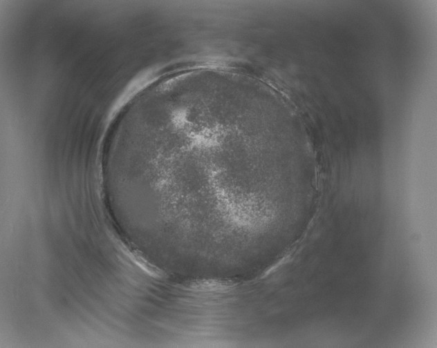 X0000078280198200611172105