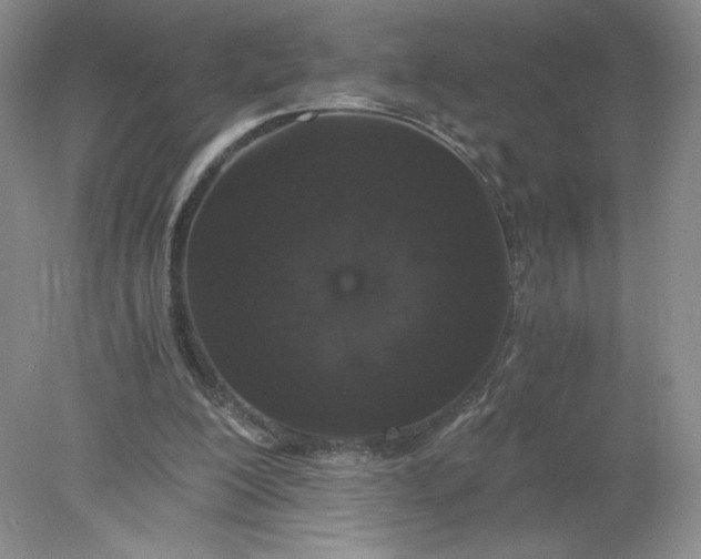 X0000078280200200611172105