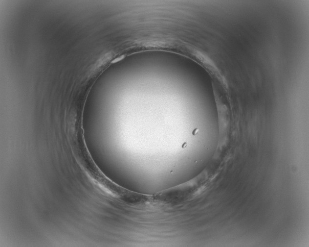 X0000078280201200611172105