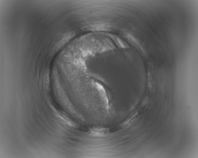 X0000078280202200611172105