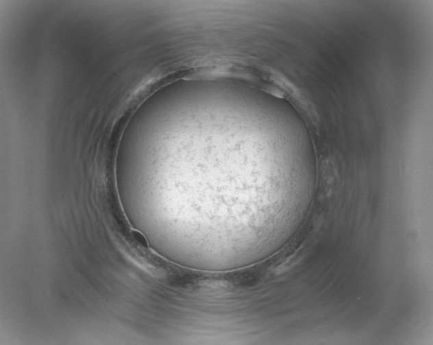 X0000078280203200611172105