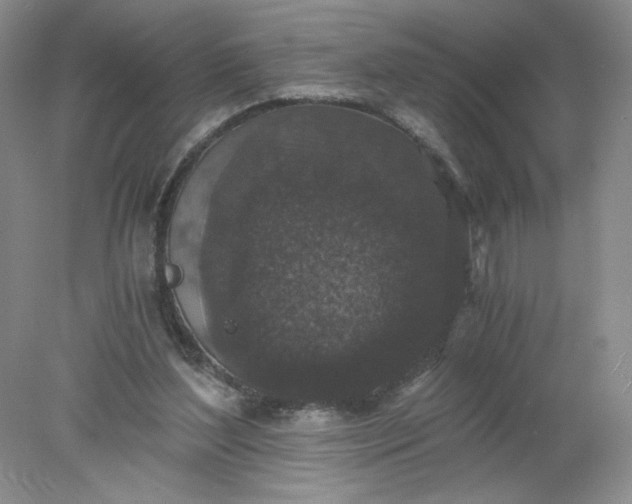 X0000078280204200611172105