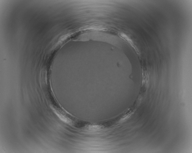 X0000078280205200611172105