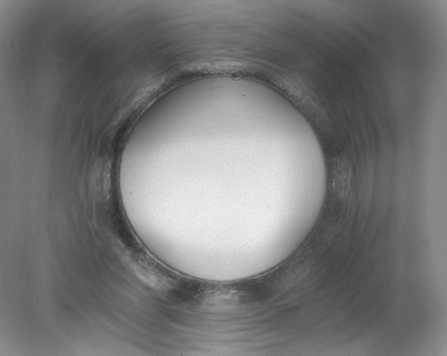 X0000078280206200611172105