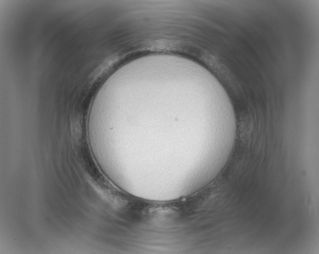 X0000078280208200611172105