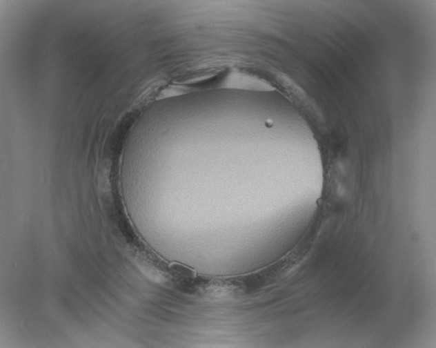 X0000078280209200611172105