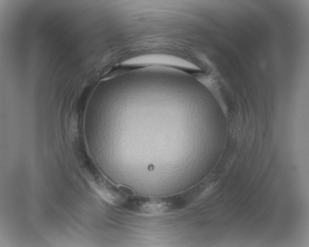 X0000078280213200611172105