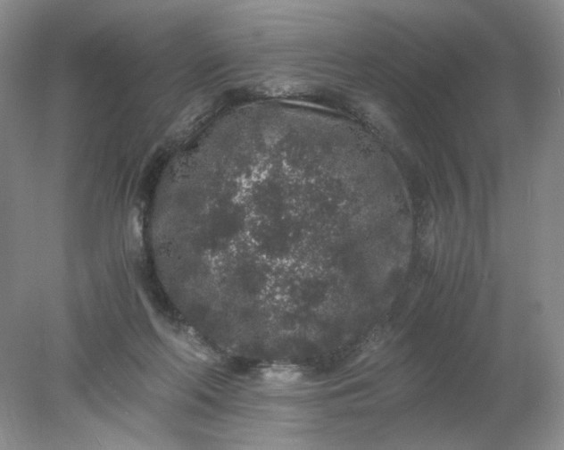 X0000078280214200611172105