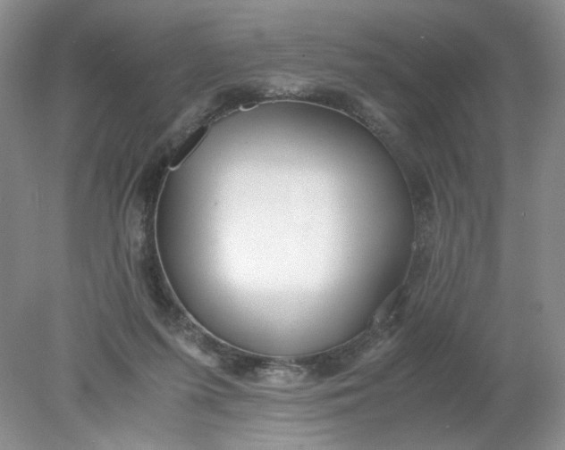 X0000078280215200611172105