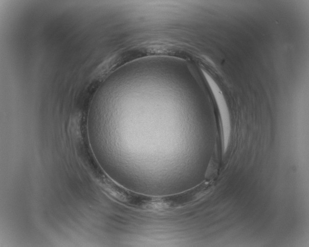 X0000078280217200611172105