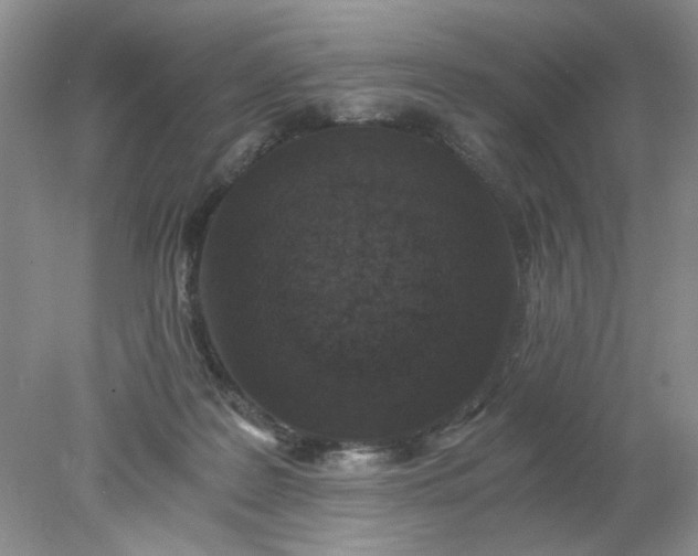 X0000078280219200611172105