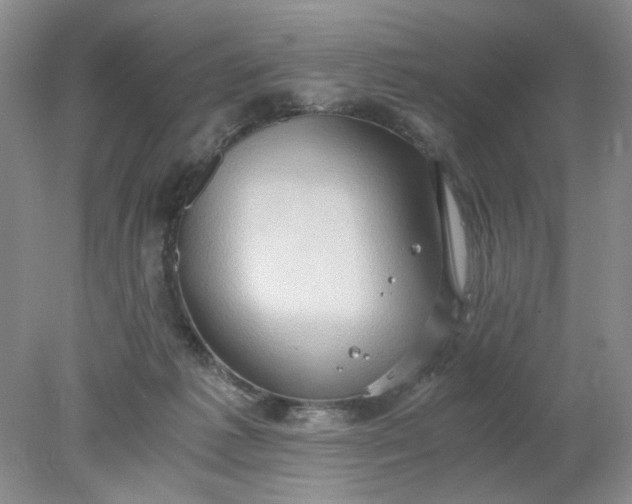 X0000078280221200611172105