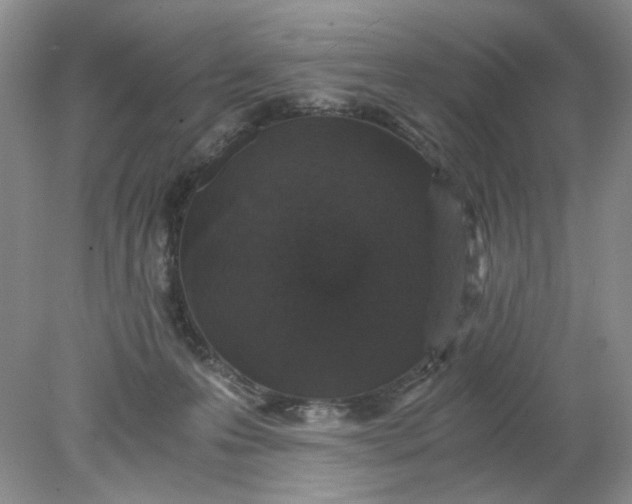 X0000078280223200611172105