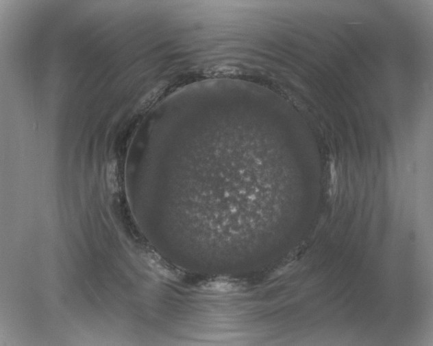 X0000078280224200611172105