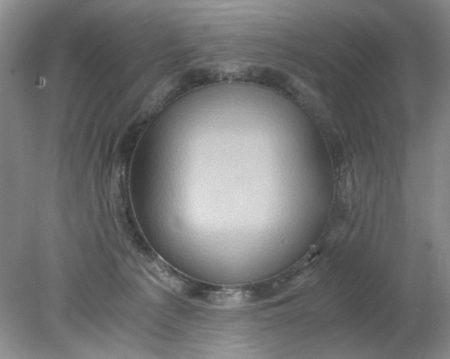 X0000078280225200611172105