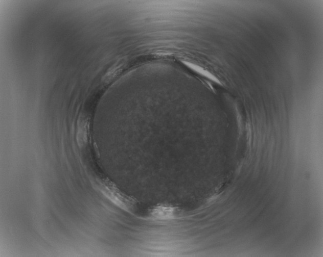 X0000078280227200611172104