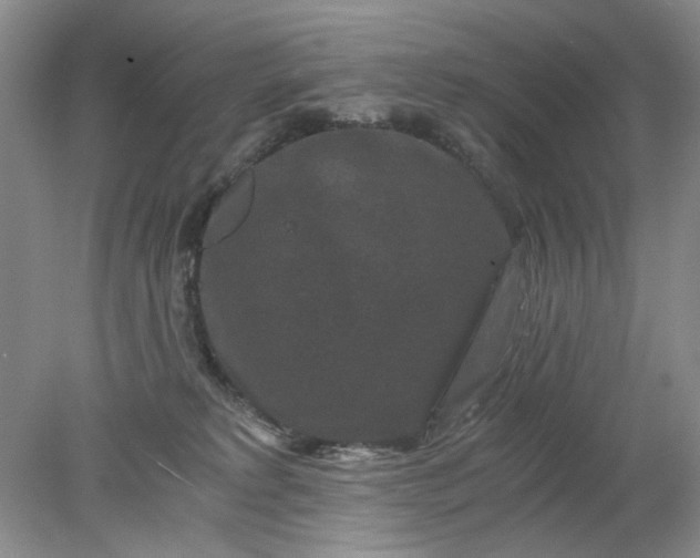 X0000078280229200611172104