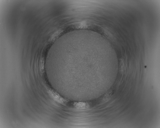 X0000078280230200611172104