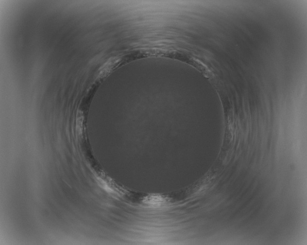 X0000078280231200611172104