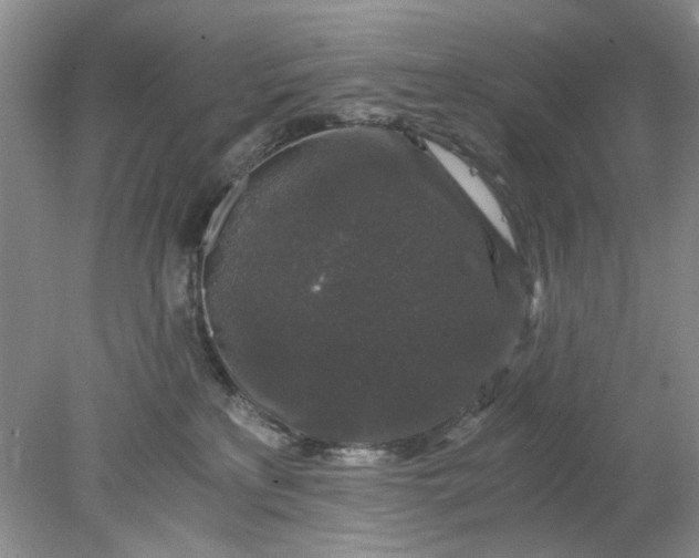 X0000078280233200611172104