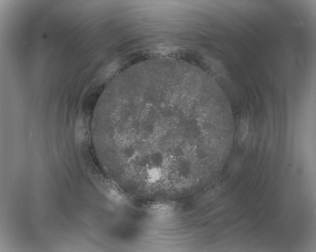 X0000078280236200611172104