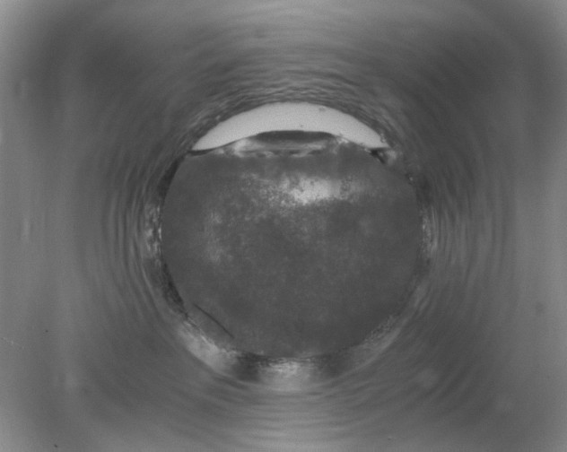 X0000078280237200611172104