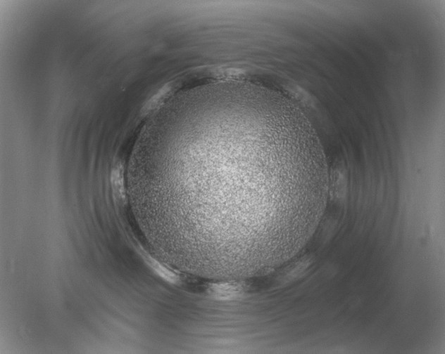 X0000078280238200611172104