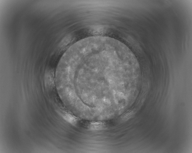 X0000078280240200611172104