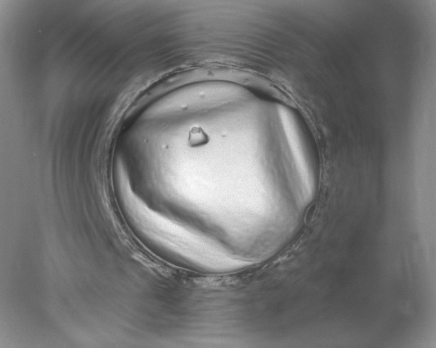 X0000078280241200611172103