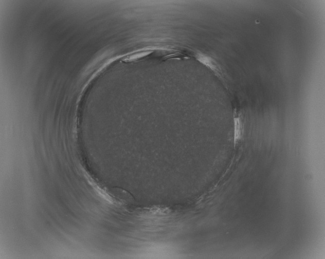 X0000078280243200611172104